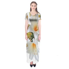 Lilies White Belladonna Short Sleeve Maxi Dress by Simbadda