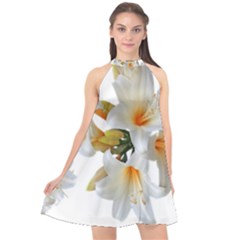 Lilies White Belladonna Halter Neckline Chiffon Dress  by Simbadda