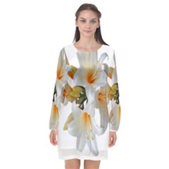 Lilies White Belladonna Long Sleeve Chiffon Shift Dress  by Simbadda