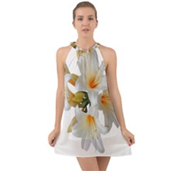 Lilies White Belladonna Halter Tie Back Chiffon Dress by Simbadda