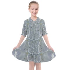 Silky Flowers From The Bohemian Paradise  In Time Kids  All Frills Chiffon Dress by pepitasart