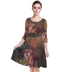 Awesome Wolf In The Darkness Of The Night Quarter Sleeve Waist Band Dress by FantasyWorld7