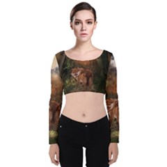 Awesome Wolf In The Darkness Of The Night Velvet Long Sleeve Crop Top by FantasyWorld7