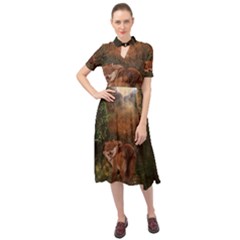 Awesome Wolf In The Darkness Of The Night Keyhole Neckline Chiffon Dress