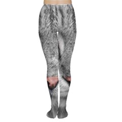 Cat Animal Cat Portrait Mackerel Tights by Sudhe