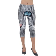 Cat Animal Cat Portrait Mackerel Lightweight Velour Capri Leggings  by Sudhe