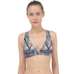 Cat Animal Cat Portrait Mackerel Classic Banded Bikini Top