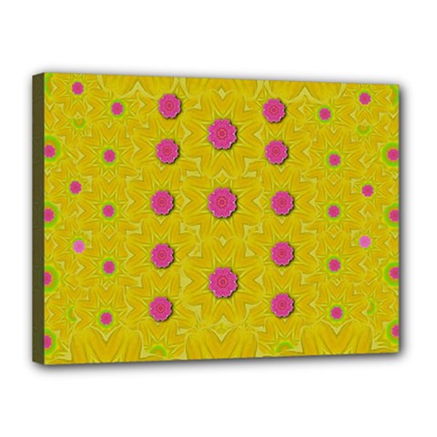 Bloom On In  The Sunshine Decorative Canvas 16  x 12  (Stretched)