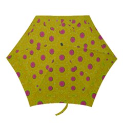 Bloom On In  The Sunshine Decorative Mini Folding Umbrellas