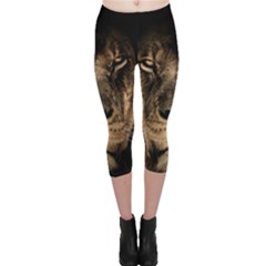 African Lion Wildcat Mane Closeup Capri Leggings  by Sudhe