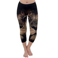 African Lion Wildcat Mane Closeup Capri Winter Leggings  by Sudhe