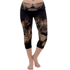 African Lion Wildcat Mane Closeup Capri Yoga Leggings by Sudhe