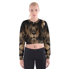 African Lion Wildcat Mane Closeup Cropped Sweatshirt by Sudhe