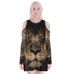 African Lion Wildcat Mane Closeup Velvet Long Sleeve Shoulder Cutout Dress by Sudhe