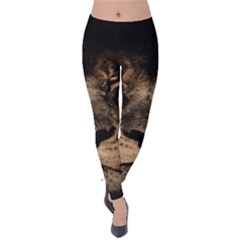 African Lion Wildcat Mane Closeup Velvet Leggings by Sudhe