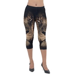 African Lion Wildcat Mane Closeup Lightweight Velour Capri Leggings  by Sudhe