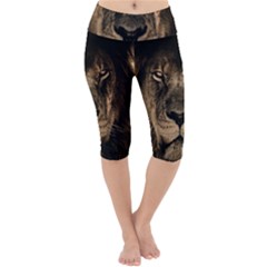 African Lion Wildcat Mane Closeup Lightweight Velour Cropped Yoga Leggings by Sudhe