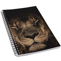 African Lion Wildcat Mane Closeup 5 5  X 8 5  Notebook by Sudhe