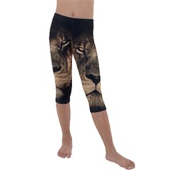 African Lion Wildcat Mane Closeup Kids  Lightweight Velour Capri Leggings  by Sudhe