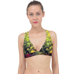 Background Star Abstract Colorful Classic Banded Bikini Top