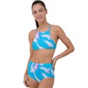 Koi Carp Scape High Waist Tankini Set View1