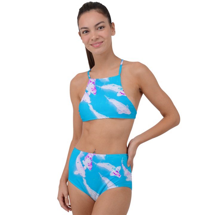 Koi Carp Scape High Waist Tankini Set