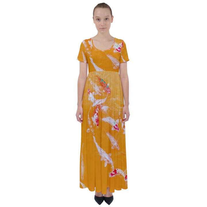 Koi Carp Scape High Waist Short Sleeve Maxi Dress