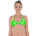 Koi Carp Scape Halter Neck Bikini Top View1