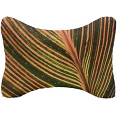 Leaf Patten Lines Colorful Plant Seat Head Rest Cushion by Simbadda