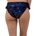 Lunar Landscape Star Brown Dwarf Frill Bikini Bottom View2