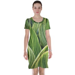 Leaves Striped Pattern Texture Short Sleeve Nightdress by Simbadda