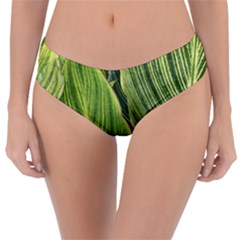 Leaves Striped Pattern Texture Reversible Classic Bikini Bottoms by Simbadda