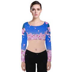 Sakura Cherry Blossom Night Moon Velvet Long Sleeve Crop Top by Simbadda