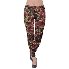 Plant Colorful Red Garden Leaves Velvet Leggings by Simbadda