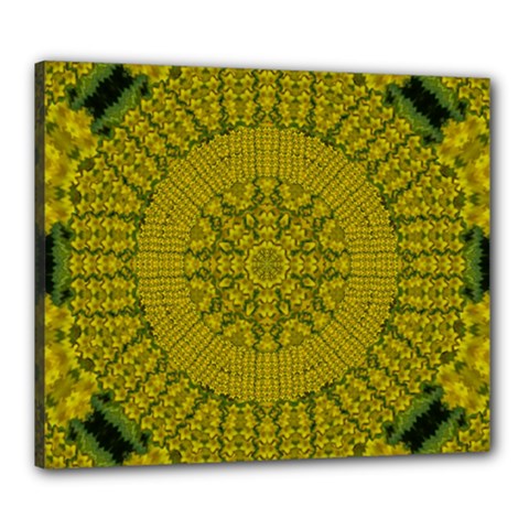 Flowers In Yellow For Love Of The Nature Canvas 24  X 20  (stretched) by pepitasart