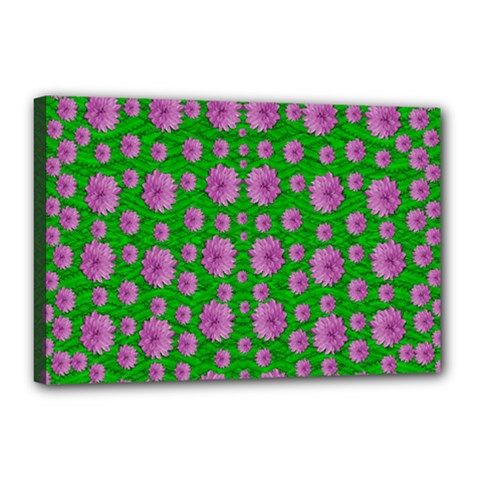 Bloom In Peace And Love Canvas 18  X 12  (stretched) by pepitasart