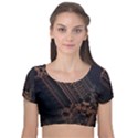 Fractals Abstraction Tla Designs Velvet Short Sleeve Crop Top  View1