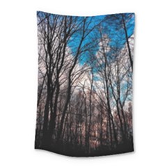 Winter Tree Park Sky Nature Small Tapestry by Simbadda