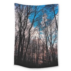 Winter Tree Park Sky Nature Large Tapestry by Simbadda