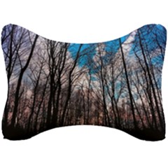 Winter Tree Park Sky Nature Seat Head Rest Cushion by Simbadda