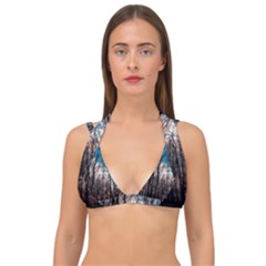 Winter Tree Park Sky Nature Double Strap Halter Bikini Top by Simbadda