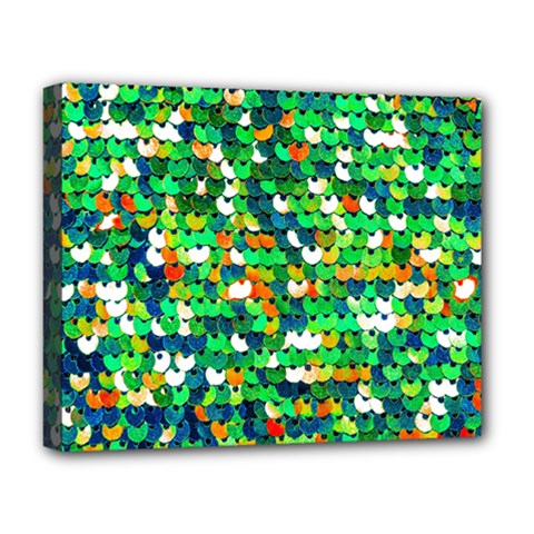 Funky Sequins Deluxe Canvas 20  X 16  (stretched)