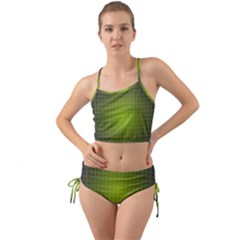 Hexagon Background Plaid Mini Tank Bikini Set by Mariart