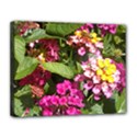 Summer Lantana w Bee Canvas 14  x 11  (Stretched) View1