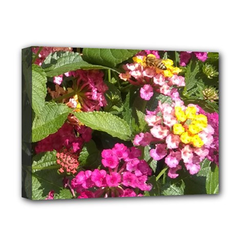 Summer Lantana W Bee Deluxe Canvas 16  X 12  (stretched)  by Riverwoman