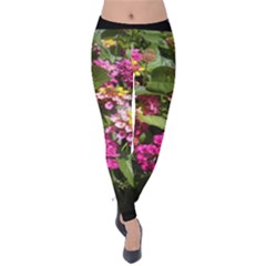 Summer Lantana W Bee Velvet Leggings by Riverwoman