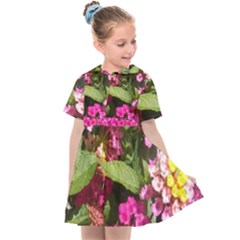 Summer Lantana W Bee Kids  Sailor Dress by Riverwoman