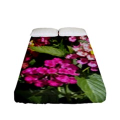 Summer Lantana W Bee Fitted Sheet (full/ Double Size) by Riverwoman