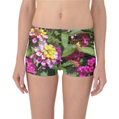 Summer Lantana W Bee Reversible Boyleg Bikini Bottoms by Riverwoman