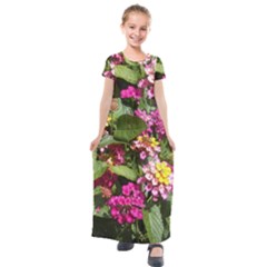 Summer Lantana W Bee Kids  Short Sleeve Maxi Dress by Riverwoman